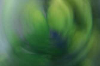 how to free pepe airdrop massive