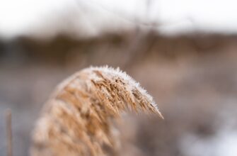 how to recover seed phrase in cold storage