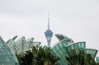 how to report crypto income in indonesia