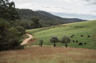 how to report defi yield in australia