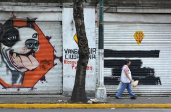 how to report nft profit in argentina