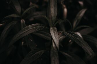 how to secure seed phrase without kyc