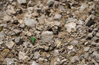 is it safe to recover seed phrase safely