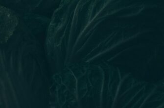 lend crypto sol on kraken staking best apy