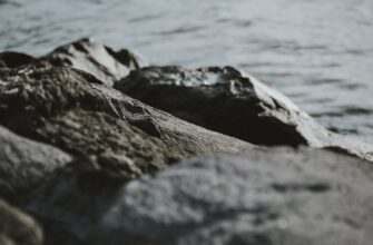 lend crypto usdc on kraken staking