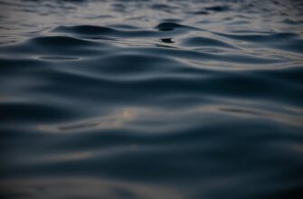 liquidity mine ada on kraken staking