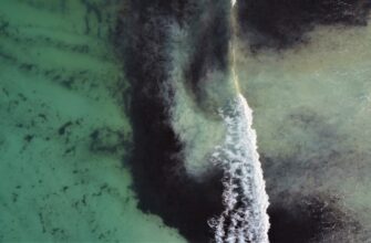 liquidity mine avax on rocket pool