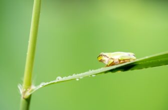 protect seed phrase safely step by step