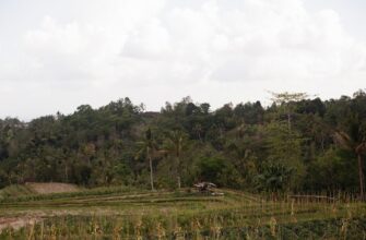 purchase toncoin in 2025 in davao