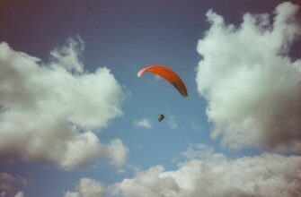 qualify for eth airdrop on optimism