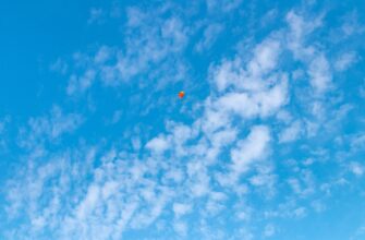 receive dot airdrop on optimism