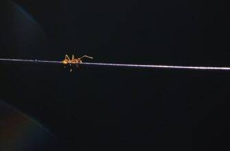 scalping sol on bybit best settings 1 minute timeframe
