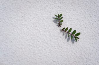 store seed phrase air gapped step by step