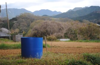 yield farm ada on rocket pool flexible
