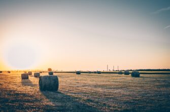yield farm atom on lido finance in 2025