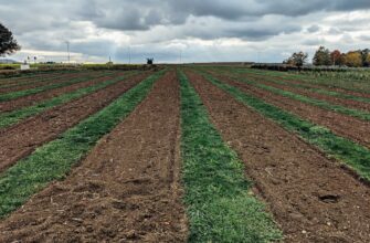 yield farm avax on compound flexible
