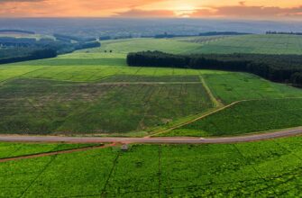 yield farm avax on pendle in 2025