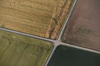 yield farm dot on compound