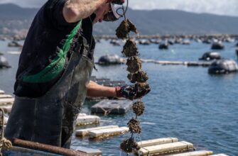 yield farm eth on kraken staking