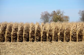 yield farm ethereum on lido finance low risk