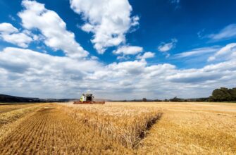 yield farm matic on beefy finance flexible